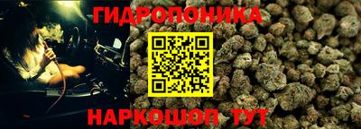 apvp Донской