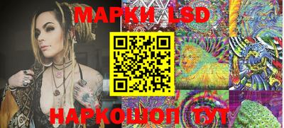 стафф Дубна