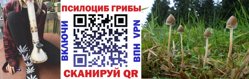 это формула  хочу наркоту  Новочебоксарск  Псилоцибиновые грибы мицелий 