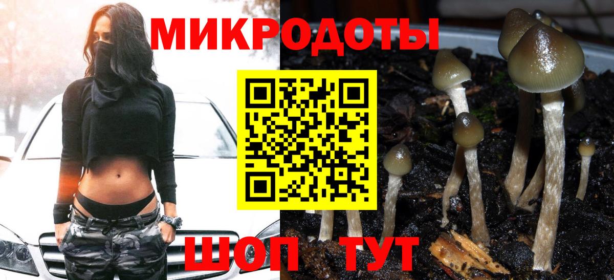 Галлюциногенные грибы Magic Shrooms Новочебоксарск